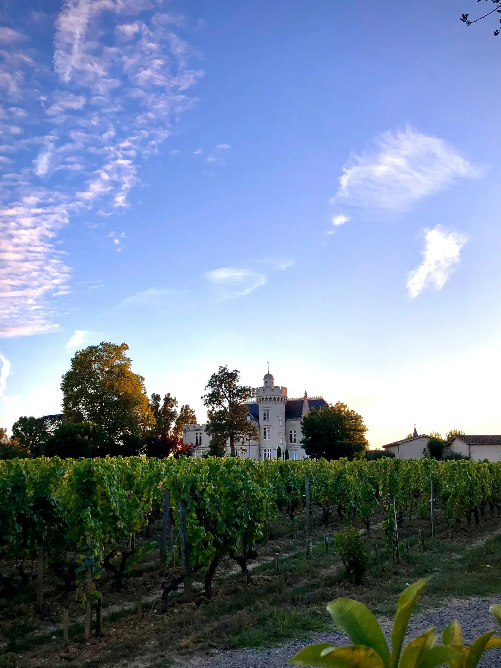 Château et vignobles du Bordelais lors d'une tournée de dégustation
